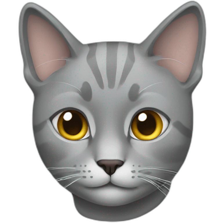 Grey Cat wearing a sweatshirt  emoji