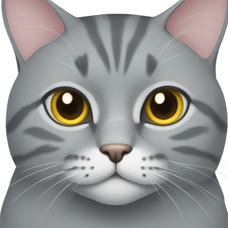 gray cat british serious emoji