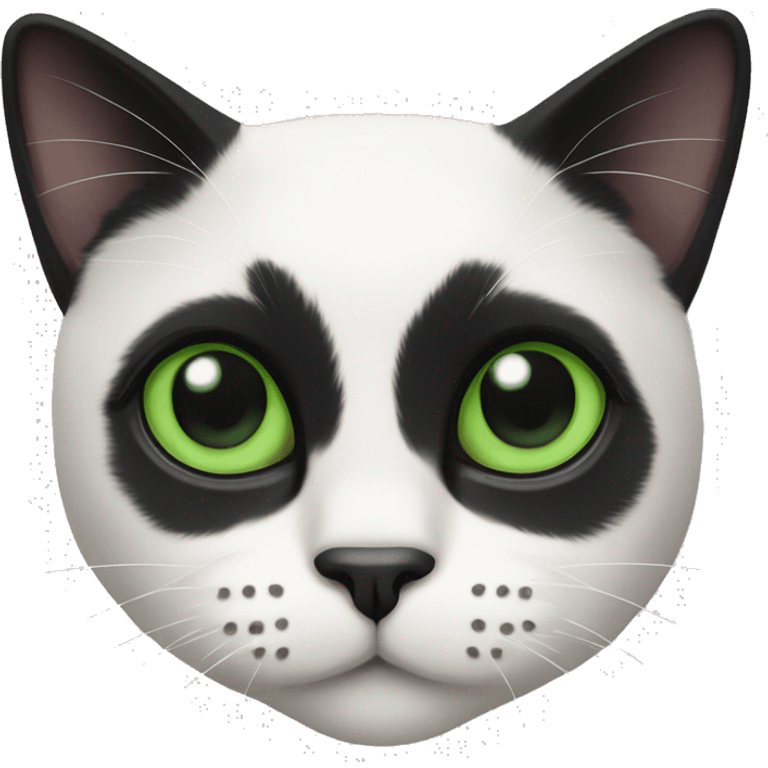 Tuxedo cat with black nose and green eyes emoji