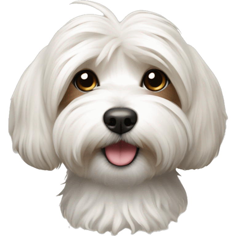 Dog havanese miniature  emoji