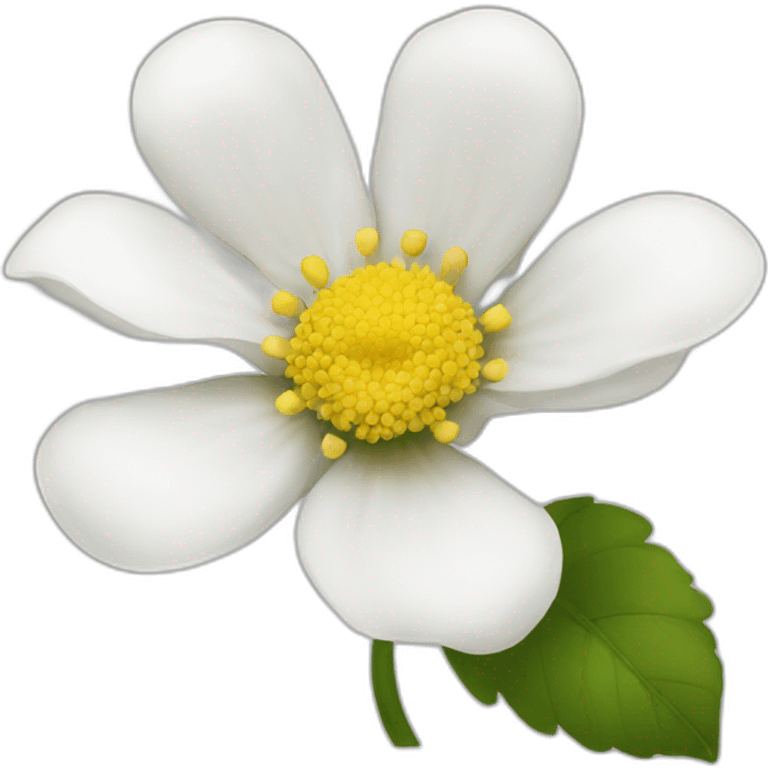 ‏Flower white  emoji