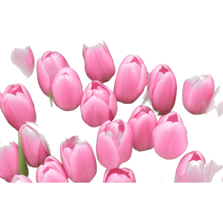 Baby pink tulips emoji