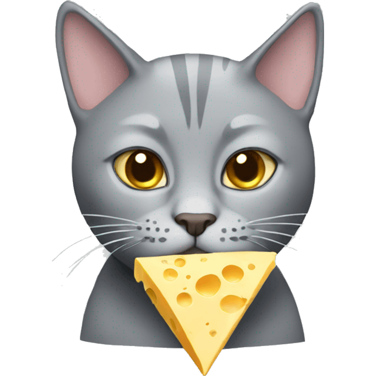 Grey cat with cheese emoji