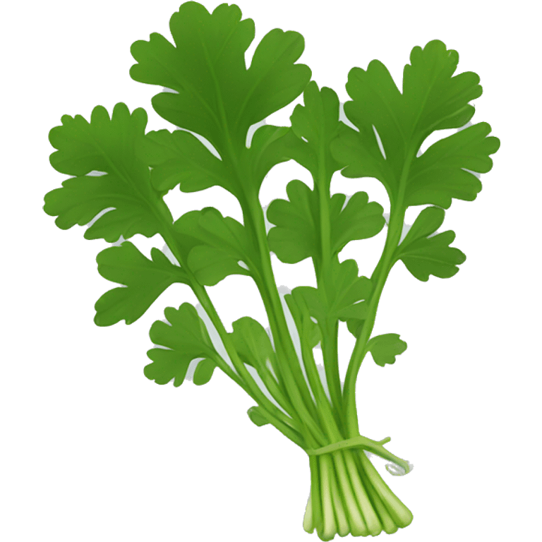 cilantro with black ground emoji