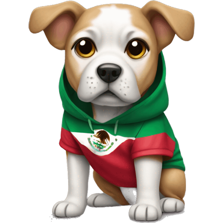 Dog wearing a mexico hoodie emoji