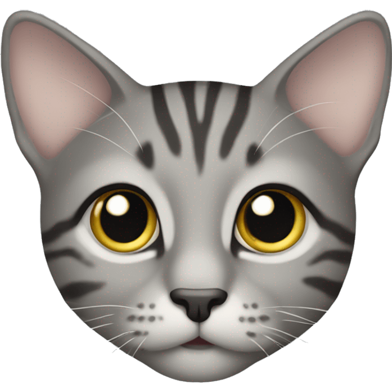 gray tabby cat with big eyes emoji