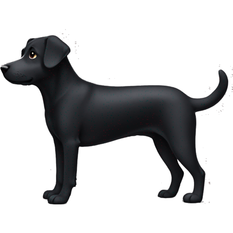 Black dog with white belly  emoji