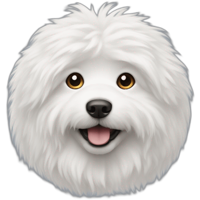 white fluffy dog emoji