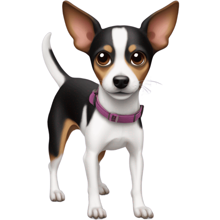 Mini rat terrier dog skiing  emoji