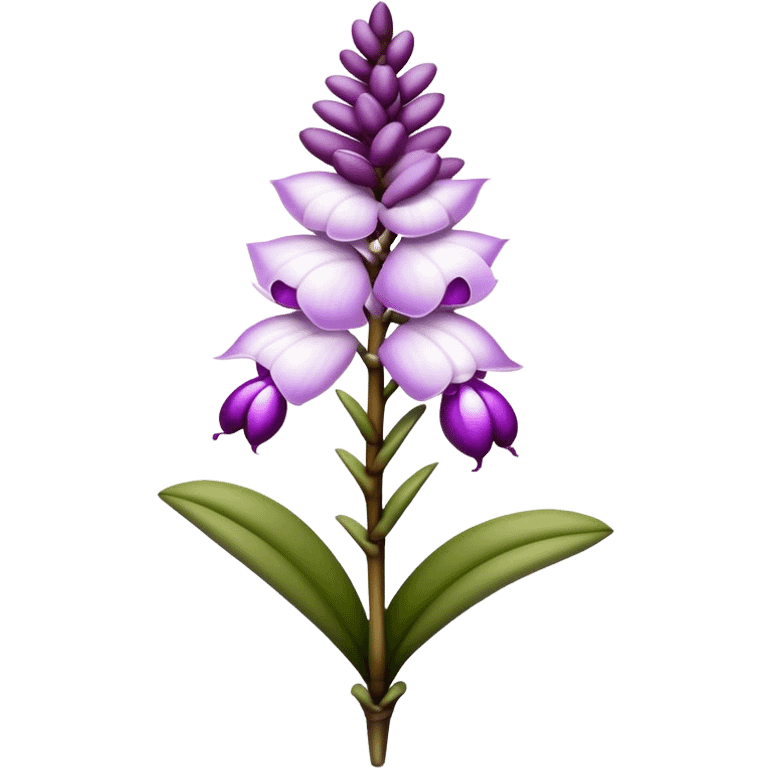 single white purple Rhynchostylis Orchid, 
straight stem emoji