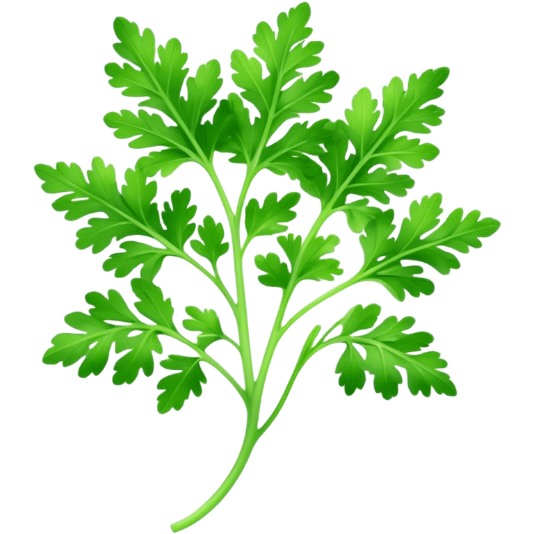 Cinematic Realistic Parsley Emoji, Fresh and vibrant, with bright green, frilly leaves that seem to shimmer with vitality. The plant exudes a sense of healthy growth and aromatic zest, inviting both beauty and flavor into any dish. Soft glowing outline, capturing the essence of freshness, health, and culinary delight in a sprig of parsley! emoji