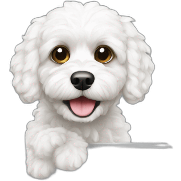 All White cavapoo as an Burglar emoji