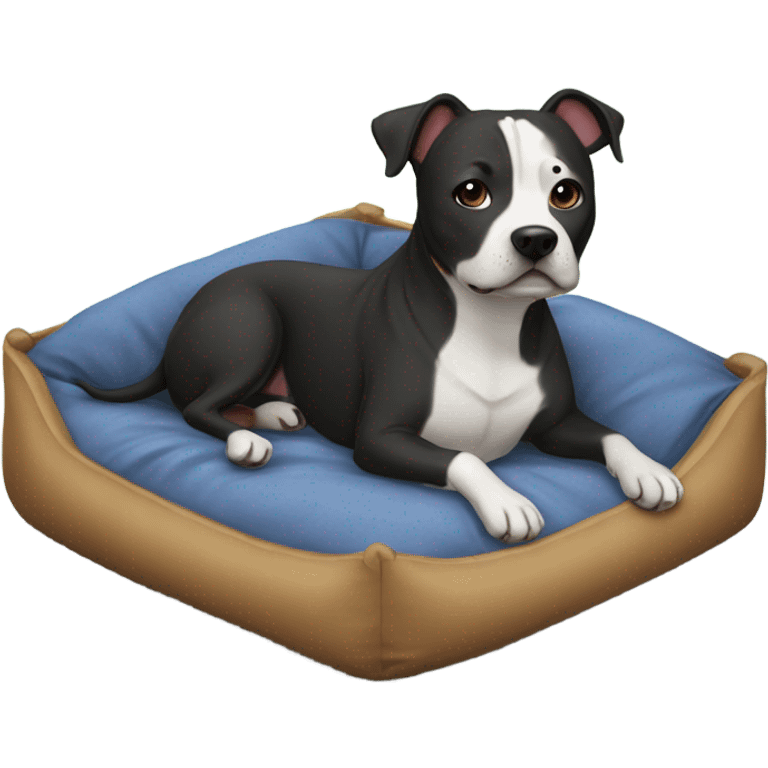 Staffie dog in small bed emoji