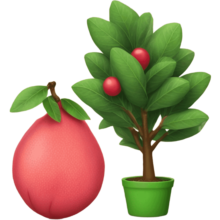 Guava next to a Christmas tree emoji