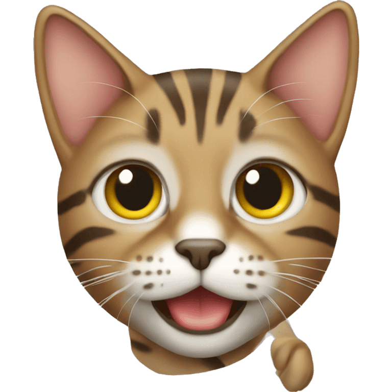 Tabby cat emoji