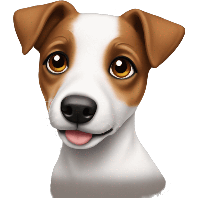 Jack Russell Dog Brown Eyes Puppy emoji