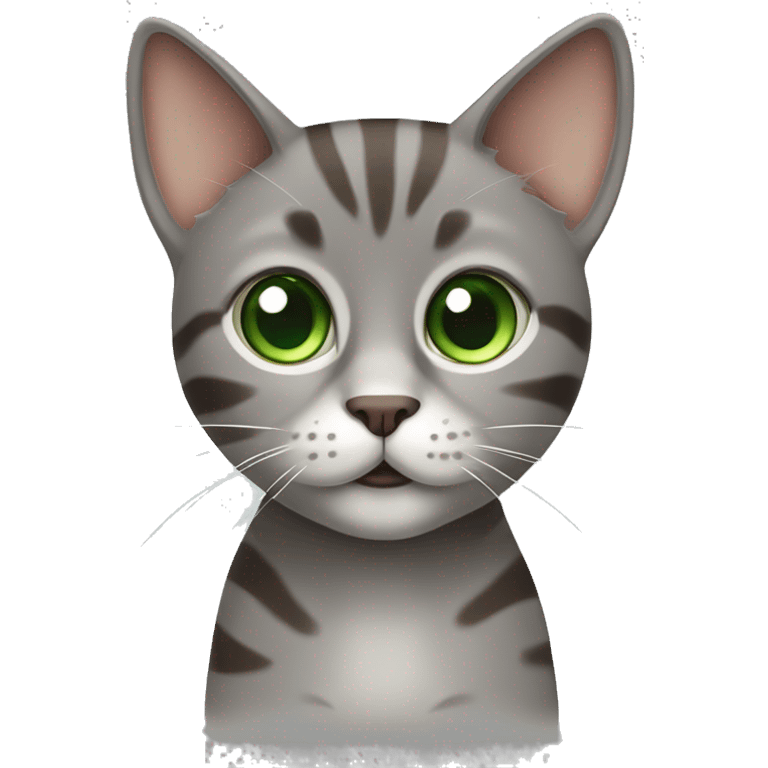 Cute European grey and brown cat with big Green eyes emoji