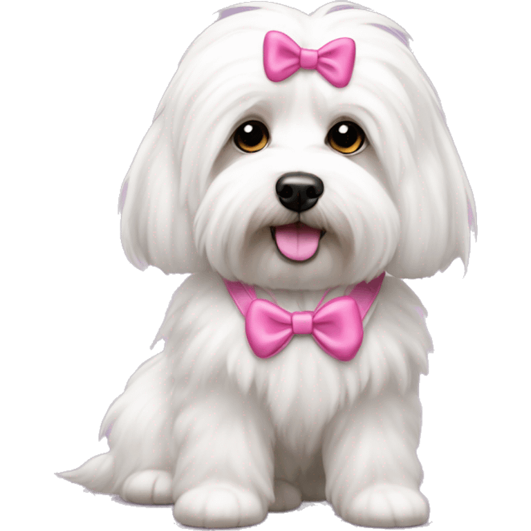 Long haired Coton de Tulear dog with pink harness and pink hair bow emoji