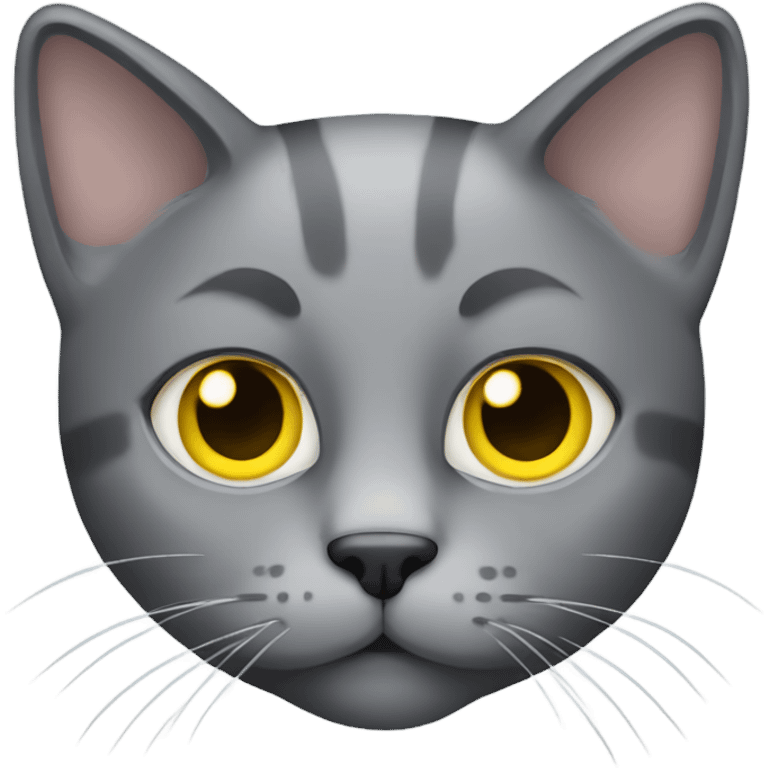 Gray cat with yellow eyes emoji