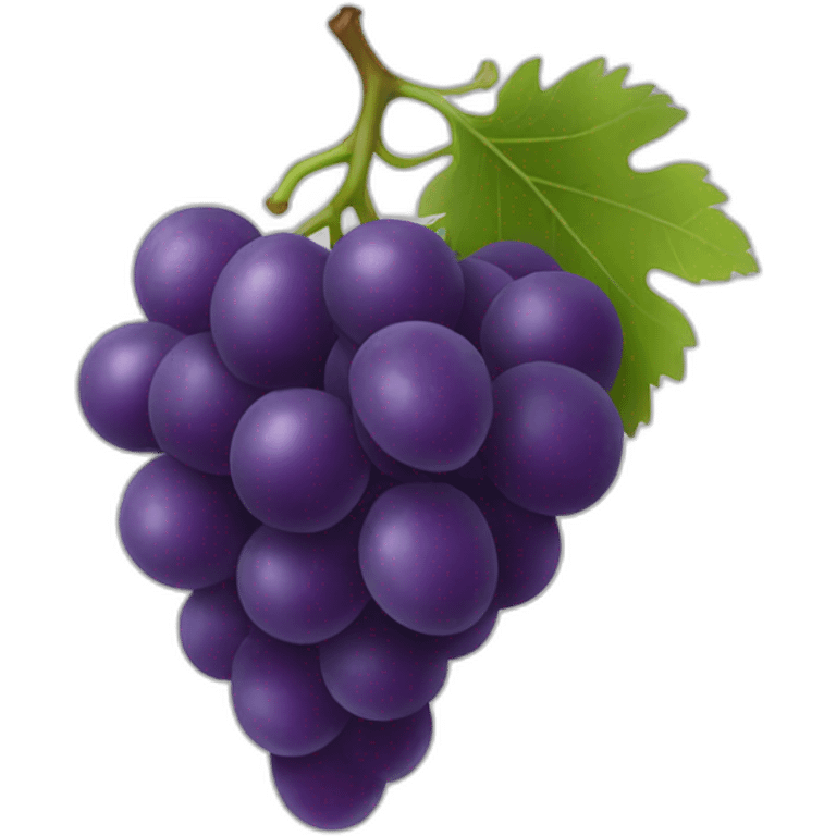 single grape emoji