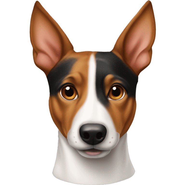 Basenji bull terrier mix  emoji