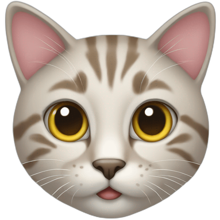 cat from gift box emoji