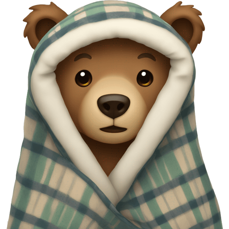 bear cozy in blanket emoji