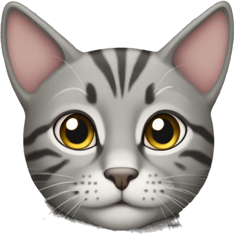 Grey tabby cat emoji