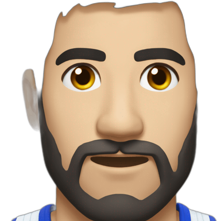 Nikolas karabatic emoji