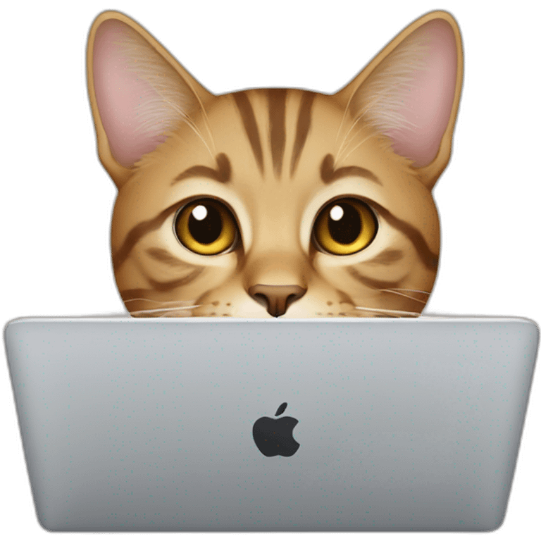 cat with mac book emoji