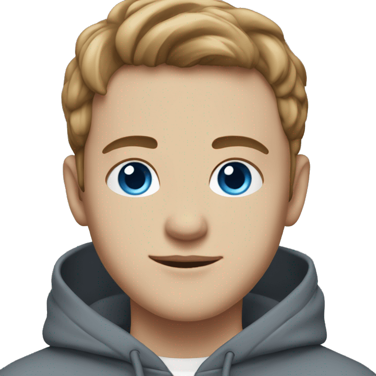 young man with light brown middle part, blue eyes, white skin and a grey hoodie emoji