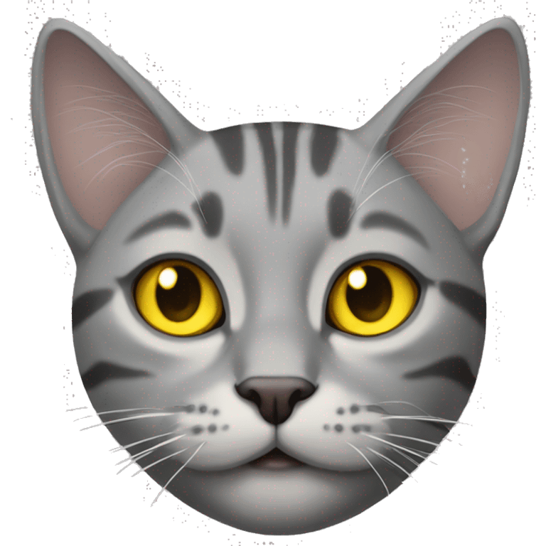 Grey Tabby cat with yellow eyes emoji