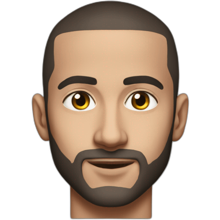 Hakim Ziyech emoji