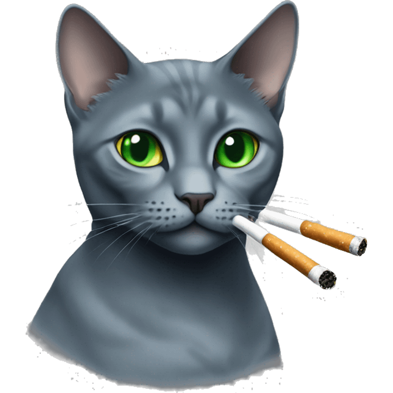 Russian blue cat green eyes smoking cigarette emoji