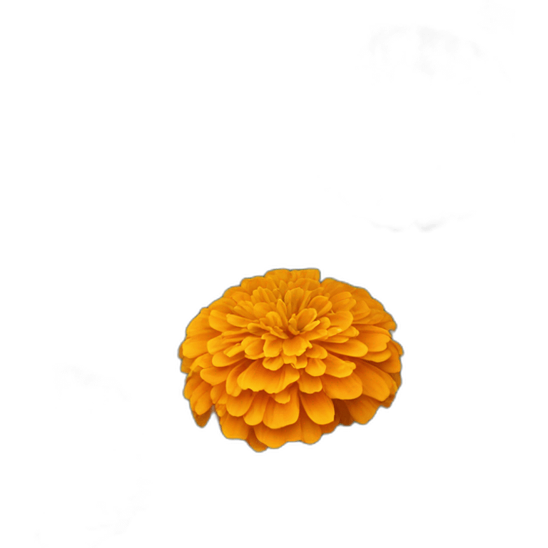 Orange marigold flowers emoji