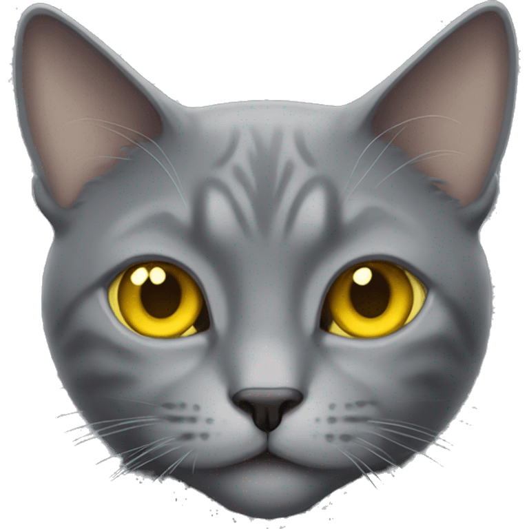 a grey cat with yellow eyes emoji