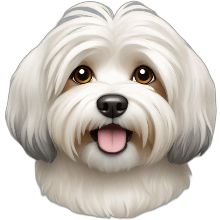 Dog havanese full height emoji