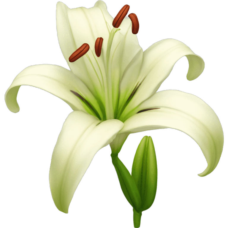 Lilium flower emoji