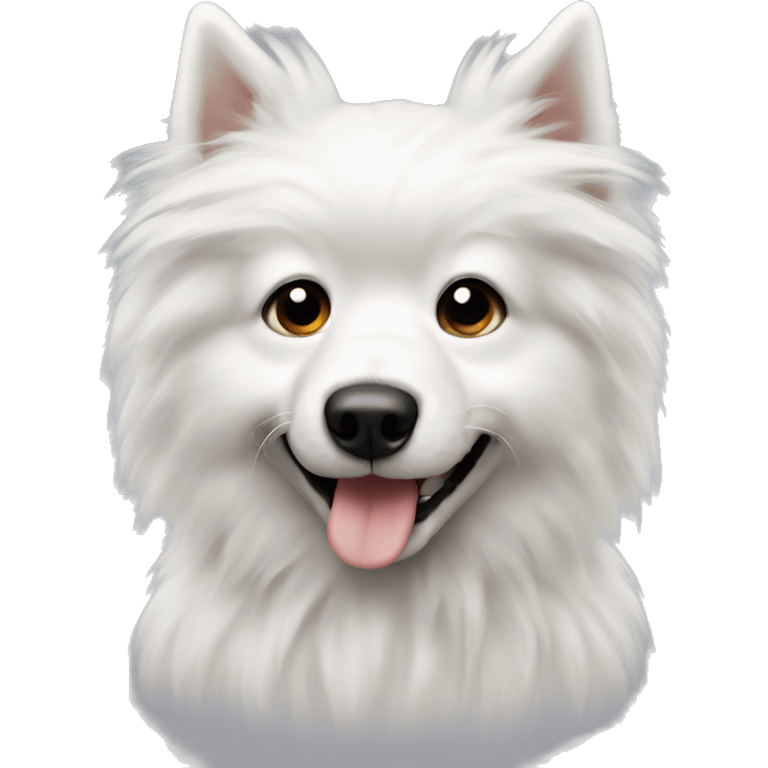 White fluffy dog with black eyes and nose with a hurt back spine  emoji