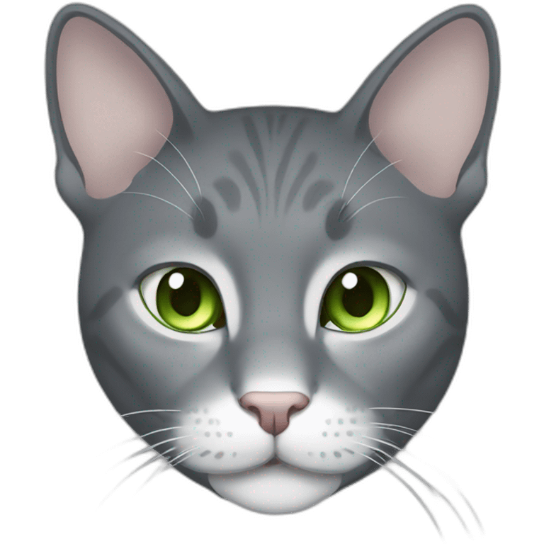 Gray cat with white mouth and white nose and light green eyes emoji