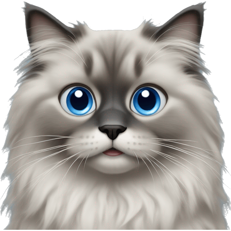 Fluffy ragdoll with fully grey face and blue eyes  emoji