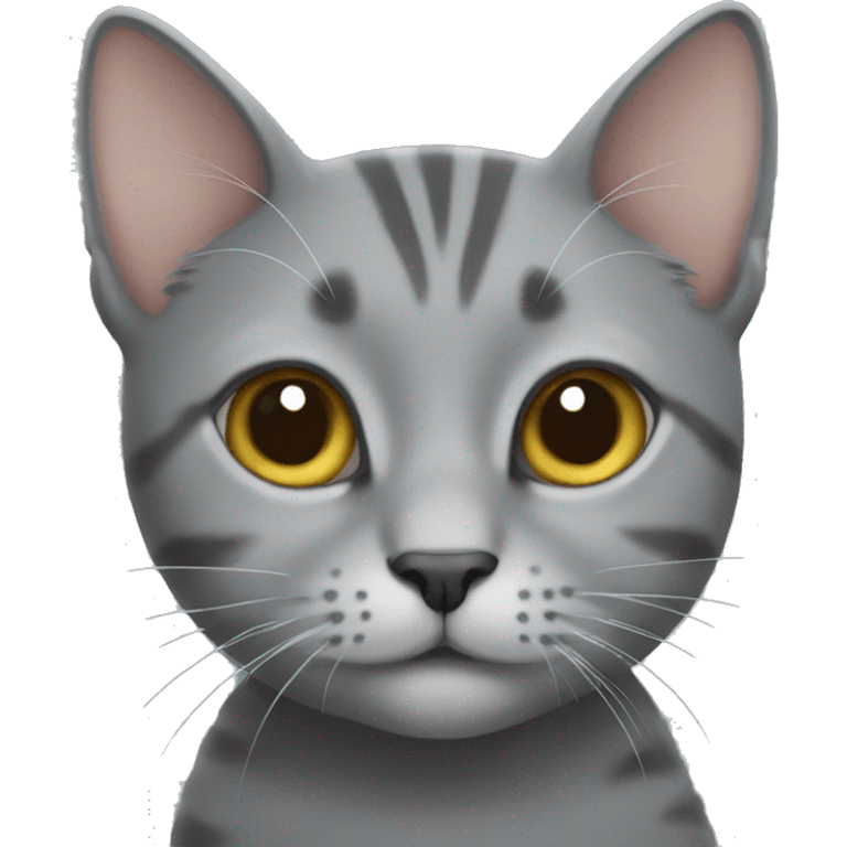 Little grey cat emoji