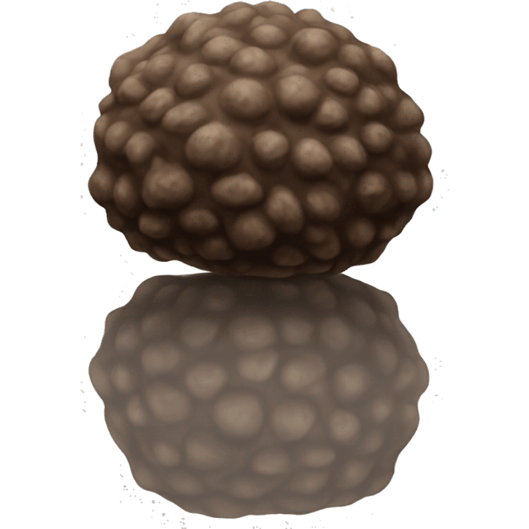 Truffle emoji