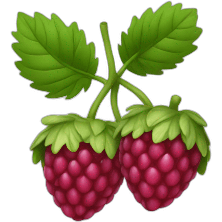 Framboise emoji