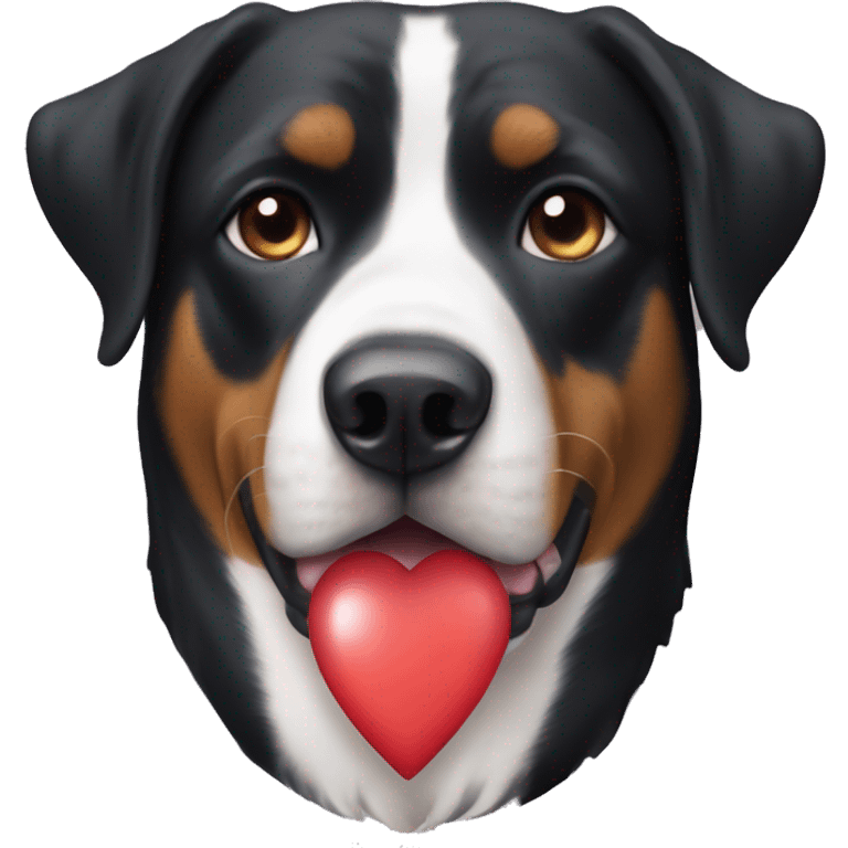 Crater Swiss Mountain dog with a heart emoji