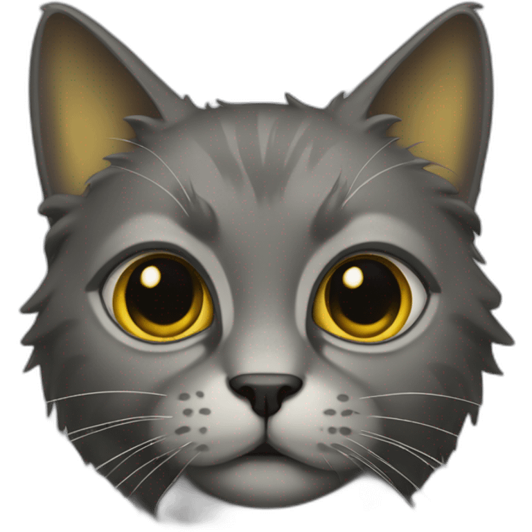 a cat with brass eyes color, and with a full dark grey hair emoji