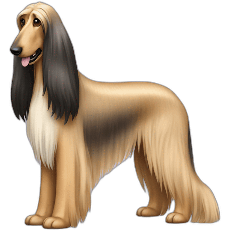 Dog Canine Afghan Hound full-height emoji