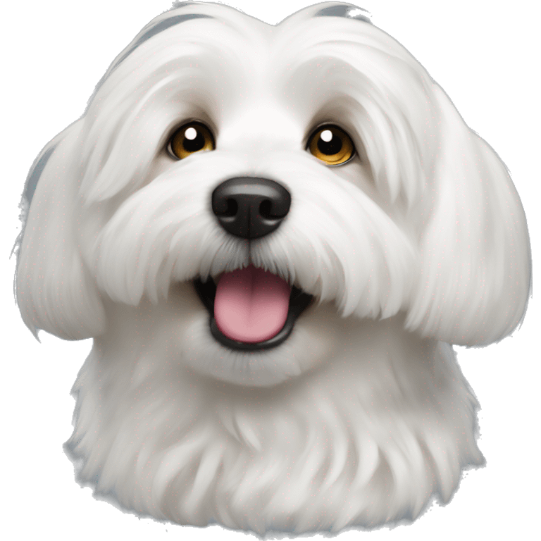 Coton de tulear dog happy emoji