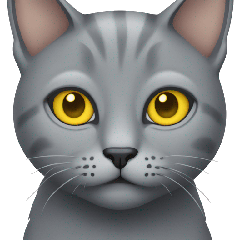 grey cat with yellow eyes emoji