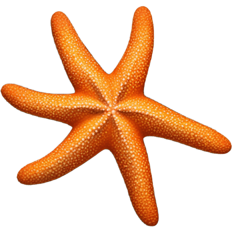 Starfish emoji